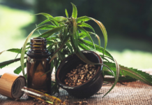 Comment consommer les fleurs de CBD (huile, gélule, thé) ? huiles graines gélules - produits à base de fleurs CBD